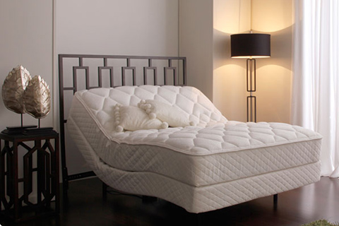 Leggett and Platt Adjustable Bed